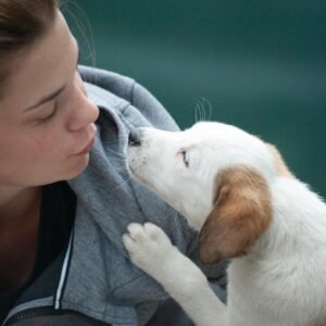 pexels-freestockpro-1174081