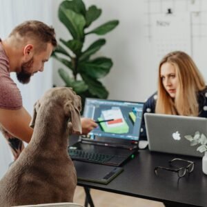 pexels-karolina-grabowska-5904051